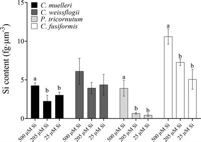 Si decline and diatom evolution: Insights from physiological experiments